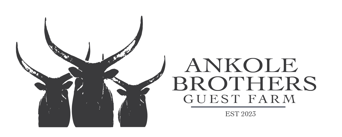 Ankole Brothers Guest Farm